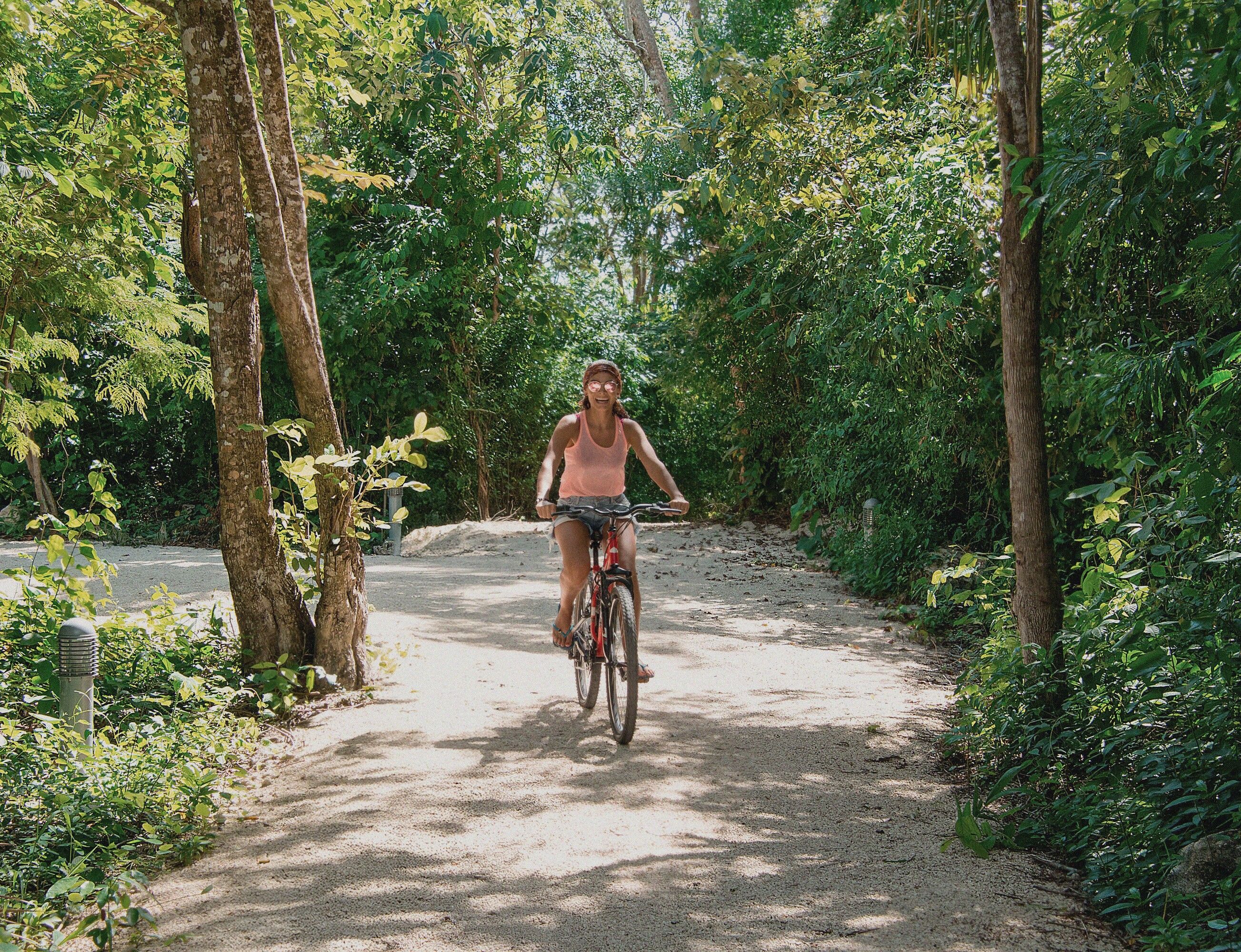 Bikes in the jungle