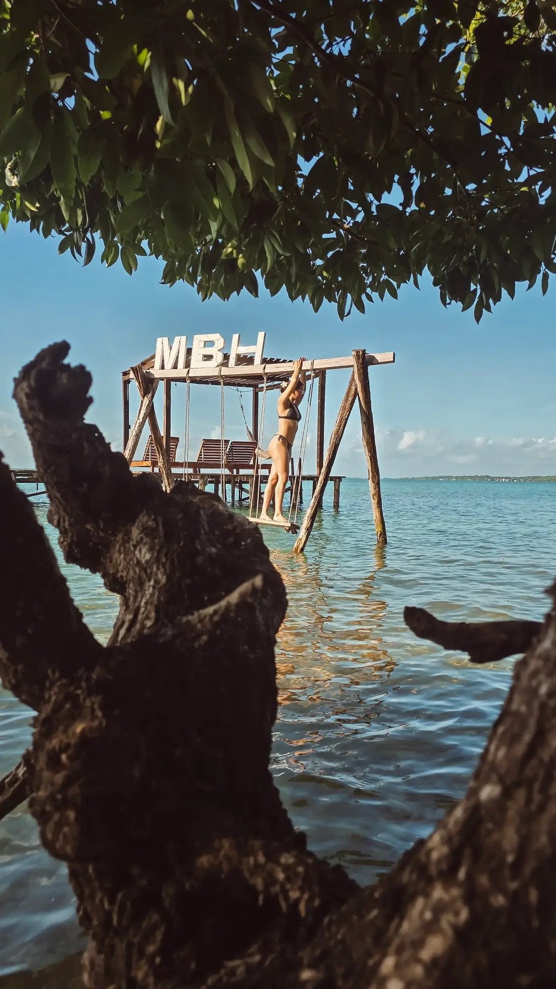 Jungle-view room